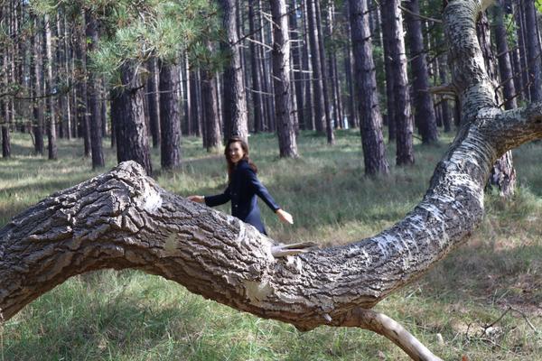 A woman in a dark jacket smiles while posing next to a large fallen tree trunk in a sunlit forest